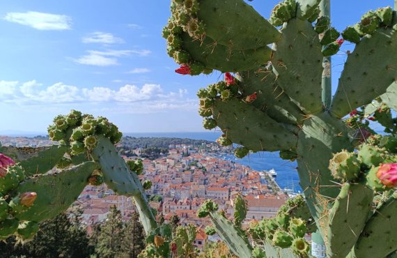 Rest day in Hvar