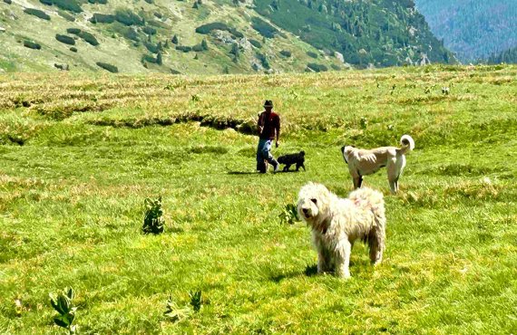 Jewels of Carpathian mountains, from Pitesti to Brasov  