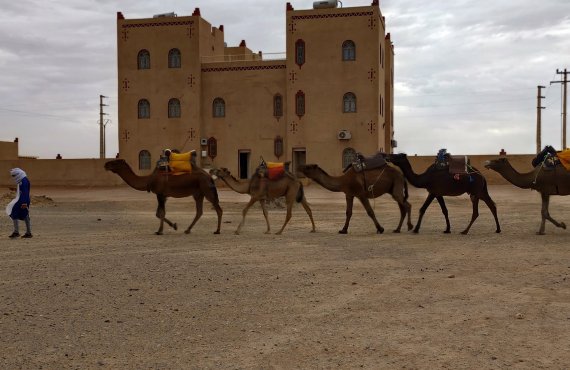 Merzouga rest day