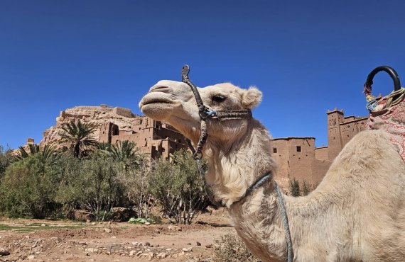 Marrakech - Boumalne Dades