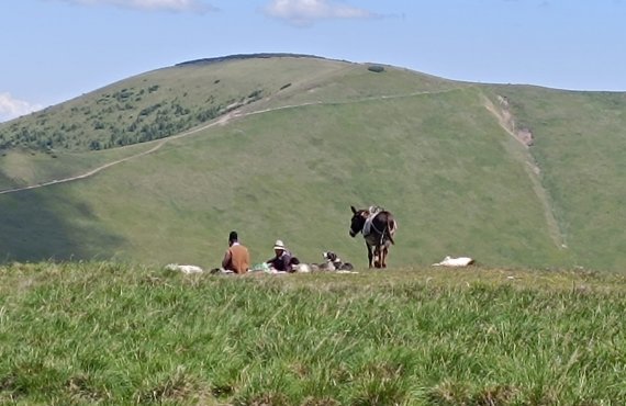 Ride across Transalpina 