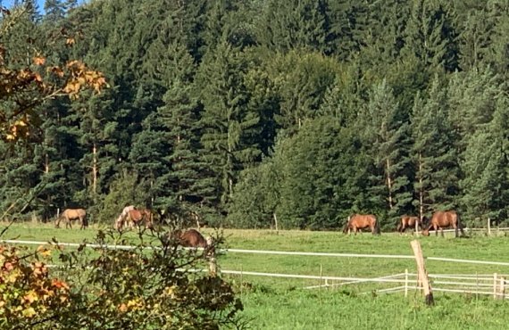 Tokaj - Krakow (Poland) 